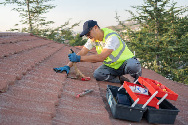 Best Roof Leak Repair  in Sterling, KS